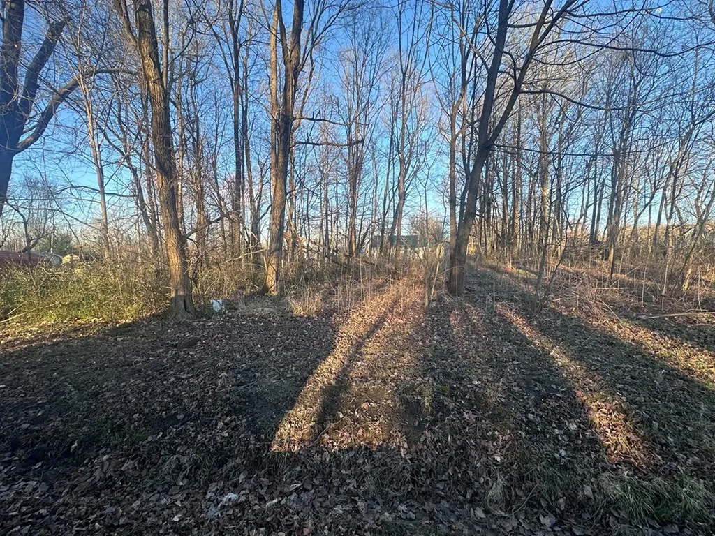 00 Speck Avenue Monterey TN 38574