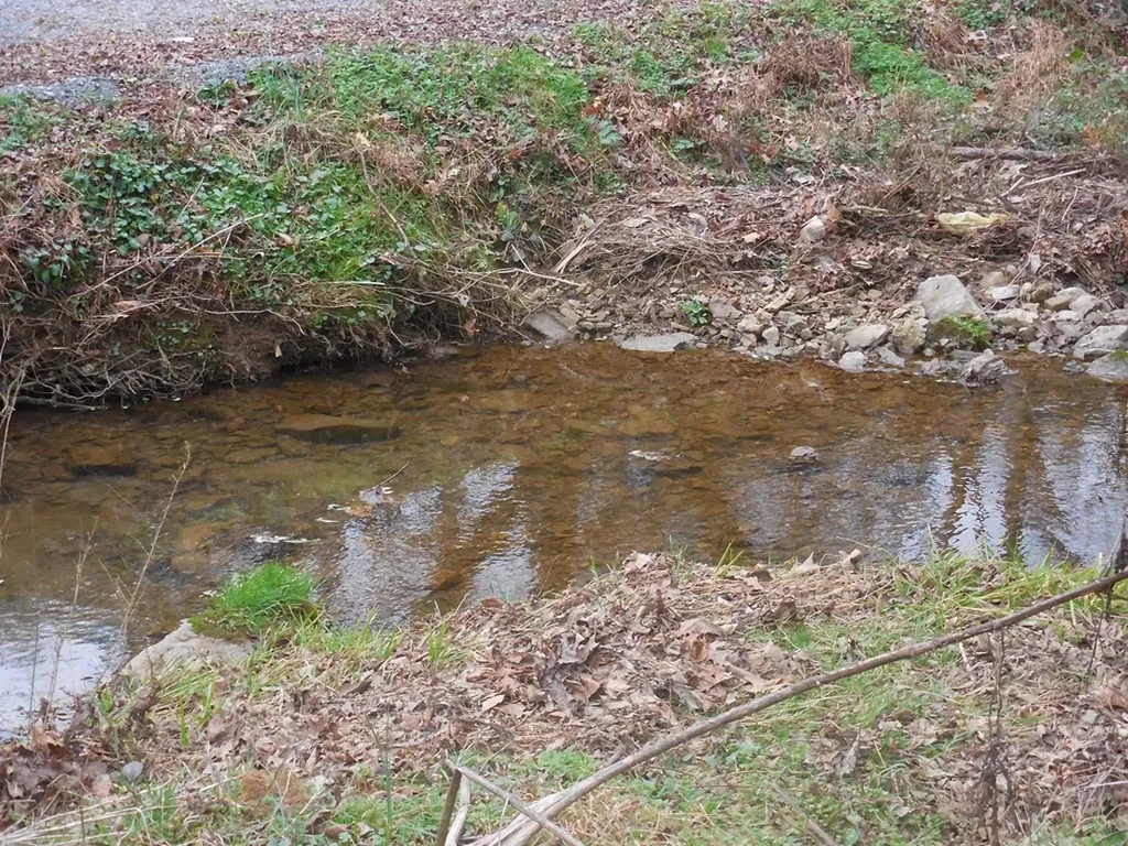 1377 Granville Gainesboro TN 38562