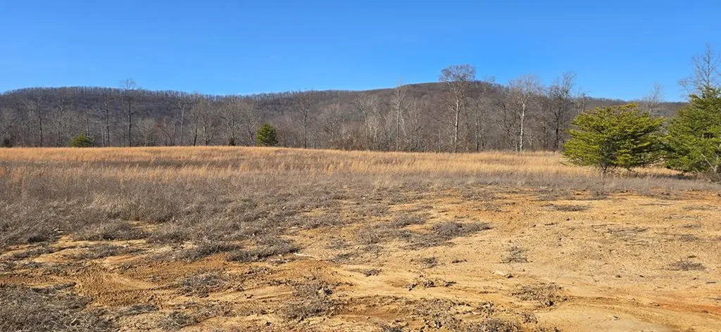Lot 8 Bear Hollow Lane Livingston TN 38570