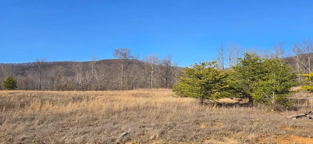 Lot 8 Bear Hollow Lane Livingston TN 38570