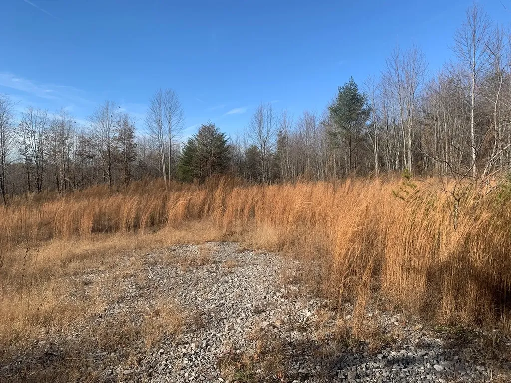 00 Lot 210 Horseshoe Drive Spencer TN 38585
