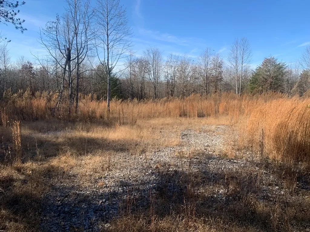 00 Lot 210 Horseshoe Drive Spencer TN 38585