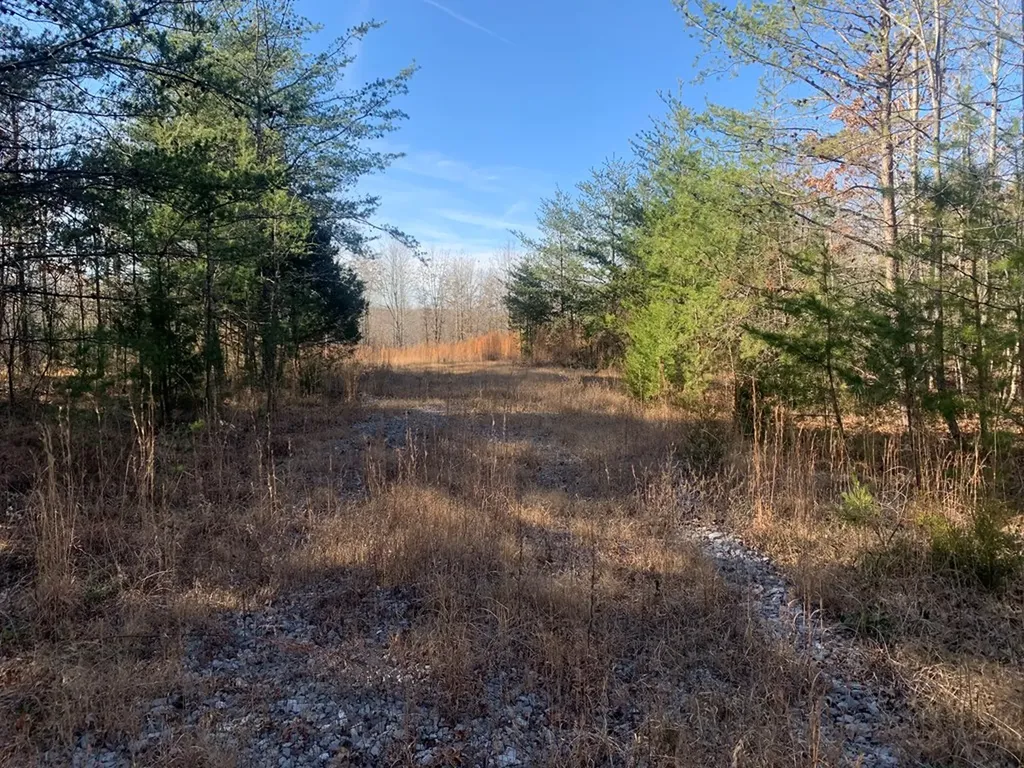 00 Lot 210 Horseshoe Drive Spencer TN 38585