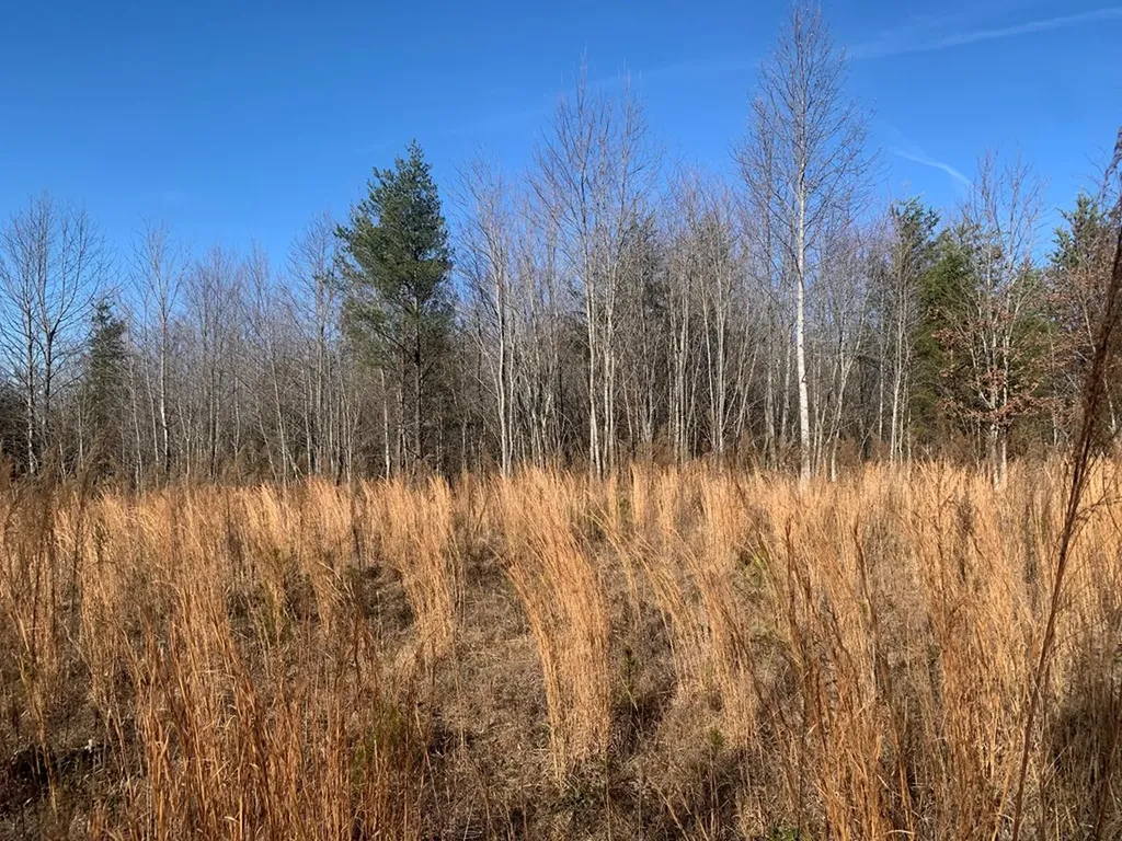 00 Lot 210 Horseshoe Drive Spencer TN 38585