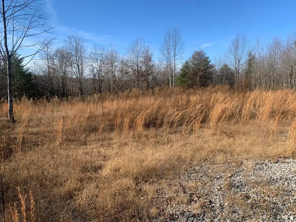 00 Lot 210 Horseshoe Drive Spencer TN 38585