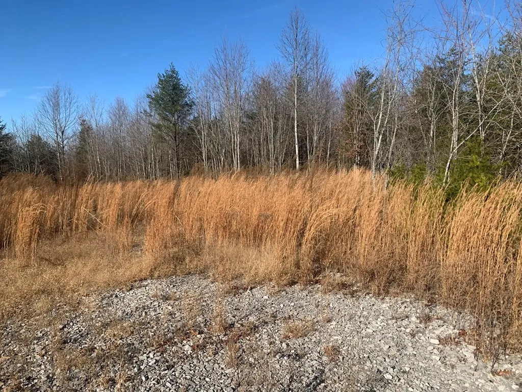00 Lot 210 Horseshoe Drive Spencer TN 38585