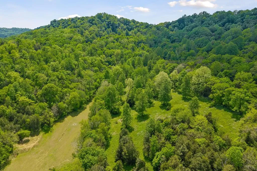 14436 Indian Springs Road Buffalo Valley TN 38548