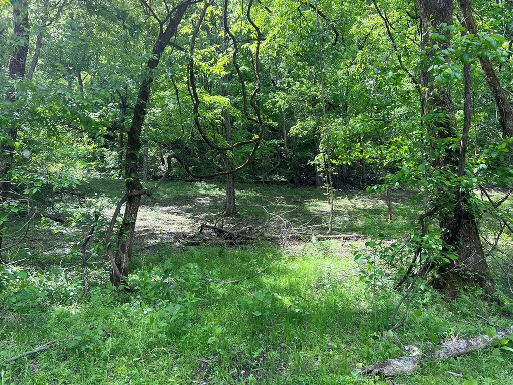 250 Woodard Hollow Lane Gainesboro TN 38562