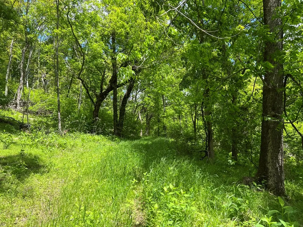 250 Woodard Hollow Lane Gainesboro TN 38562