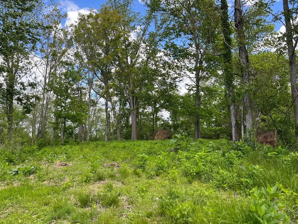 250 Woodard Hollow Lane Gainesboro TN 38562