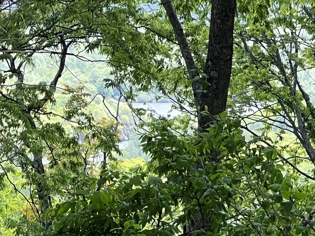 250 Woodard Hollow Lane Gainesboro TN 38562