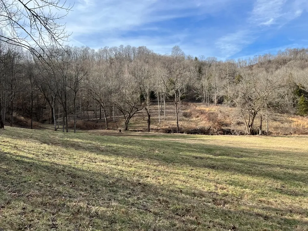 250 Woodard Hollow Lane Gainesboro TN 38562
