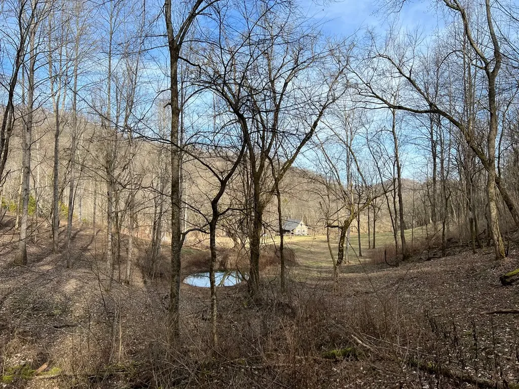 250 Woodard Hollow Lane Gainesboro TN 38562