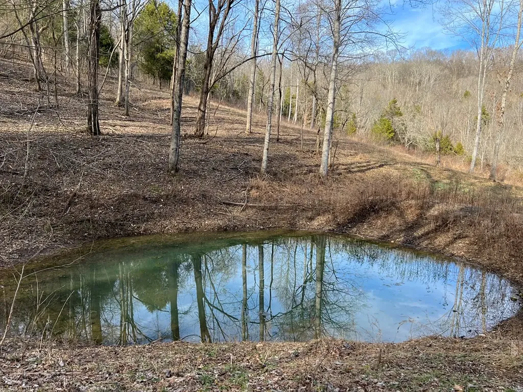 250 Woodard Hollow Lane Gainesboro TN 38562