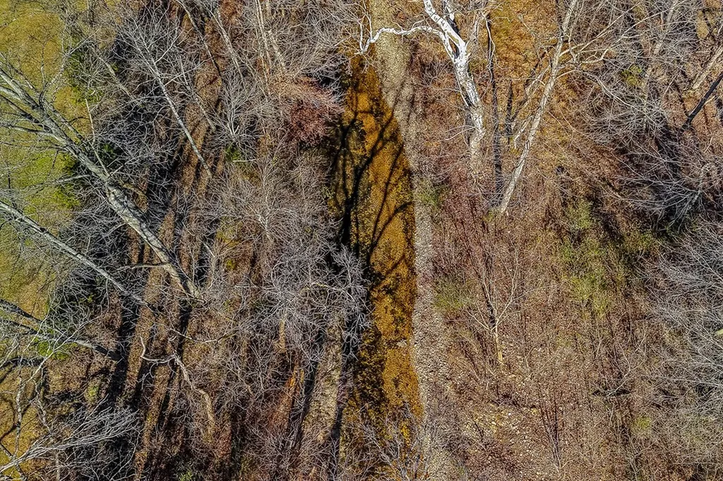 3001 Tulip Lane Cookeville TN 38501