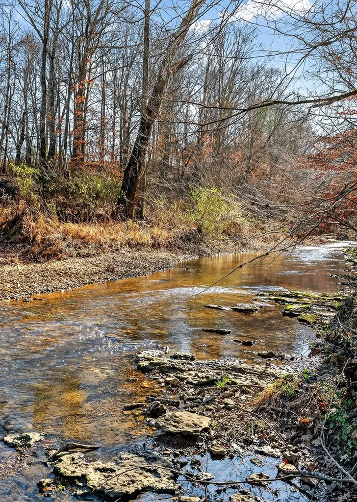 3001 Tulip Lane Cookeville TN 38501