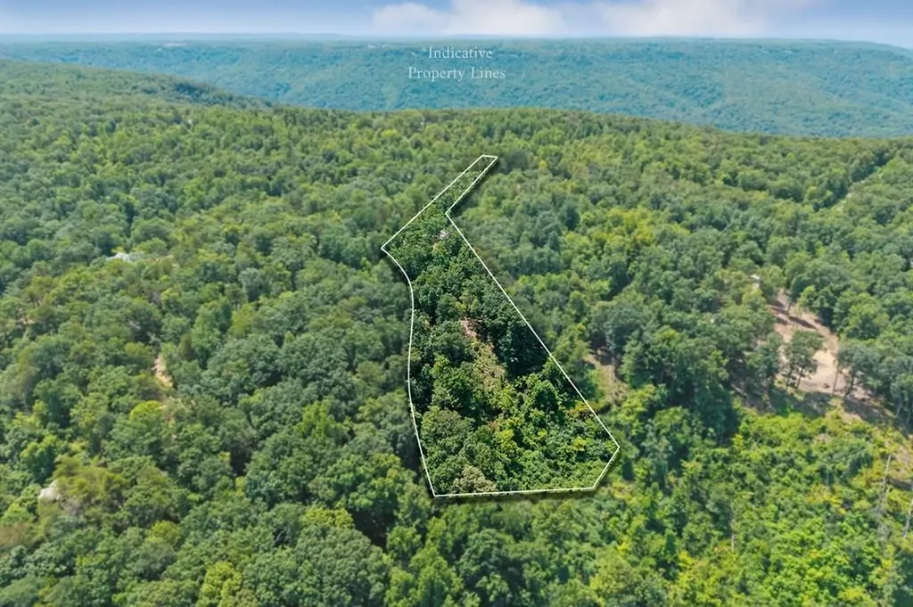 203 Crestview Lane Sparta TN 38583