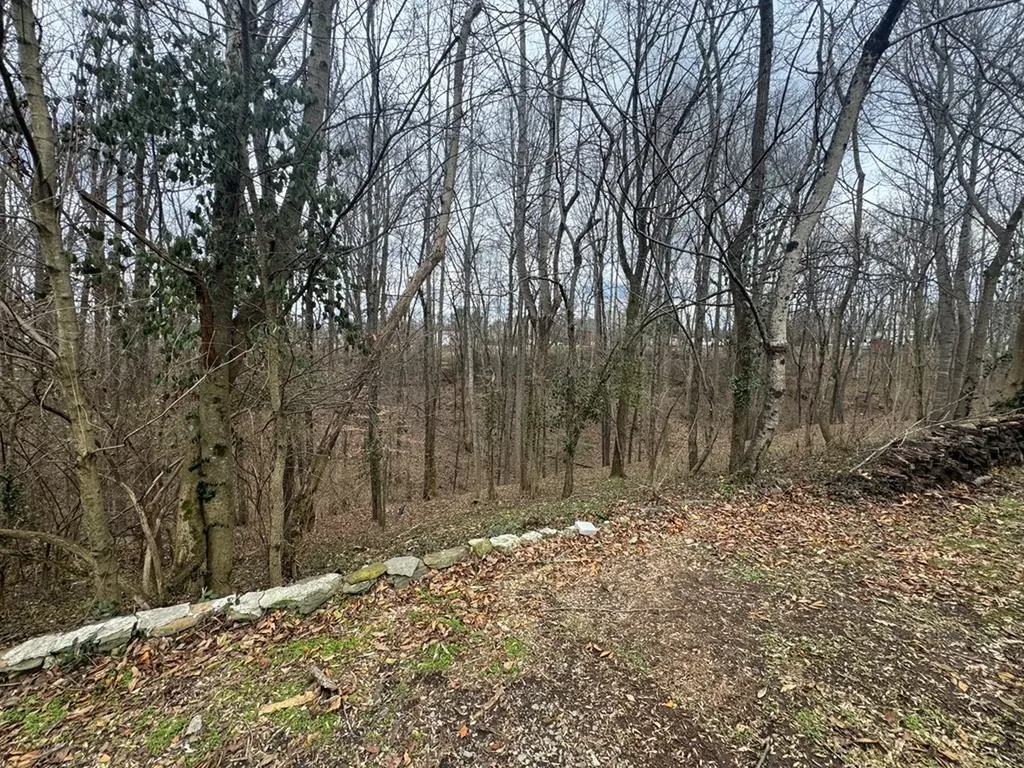 146 H Brown Lane Gainesboro TN 38562