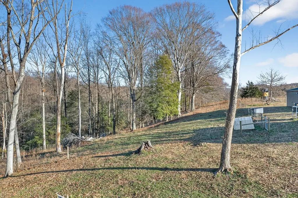 8225 Red Hill Road Pall Mall TN 38577