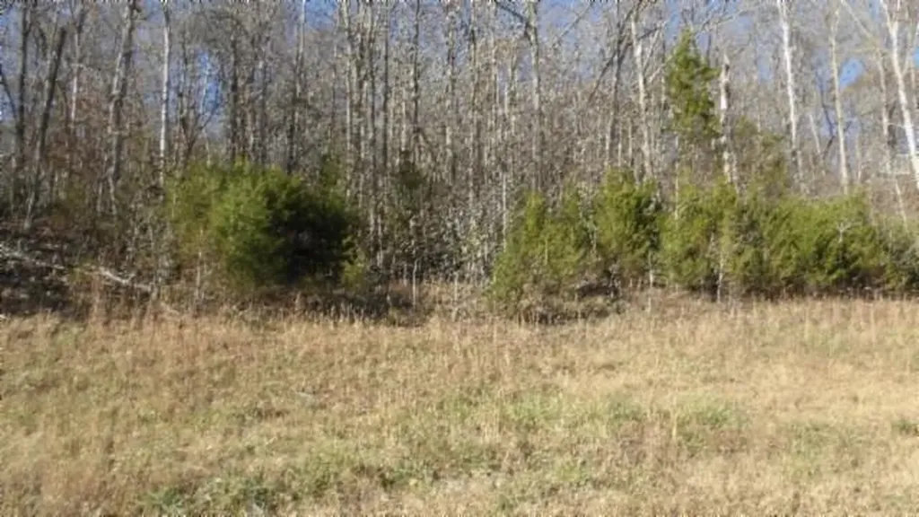 Lot 46 Cheyenne Drive Jamestown TN 38556