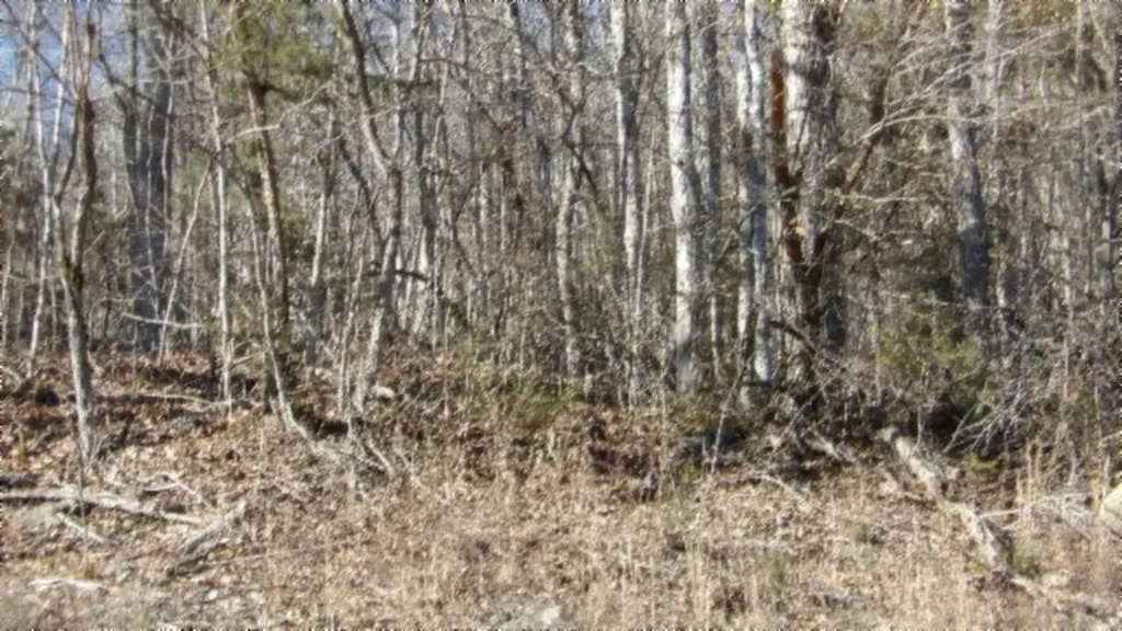 Lot 46 Cheyenne Drive Jamestown TN 38556
