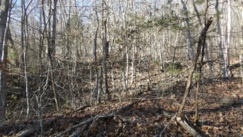 Lot 46 Cheyenne Drive Jamestown TN 38556