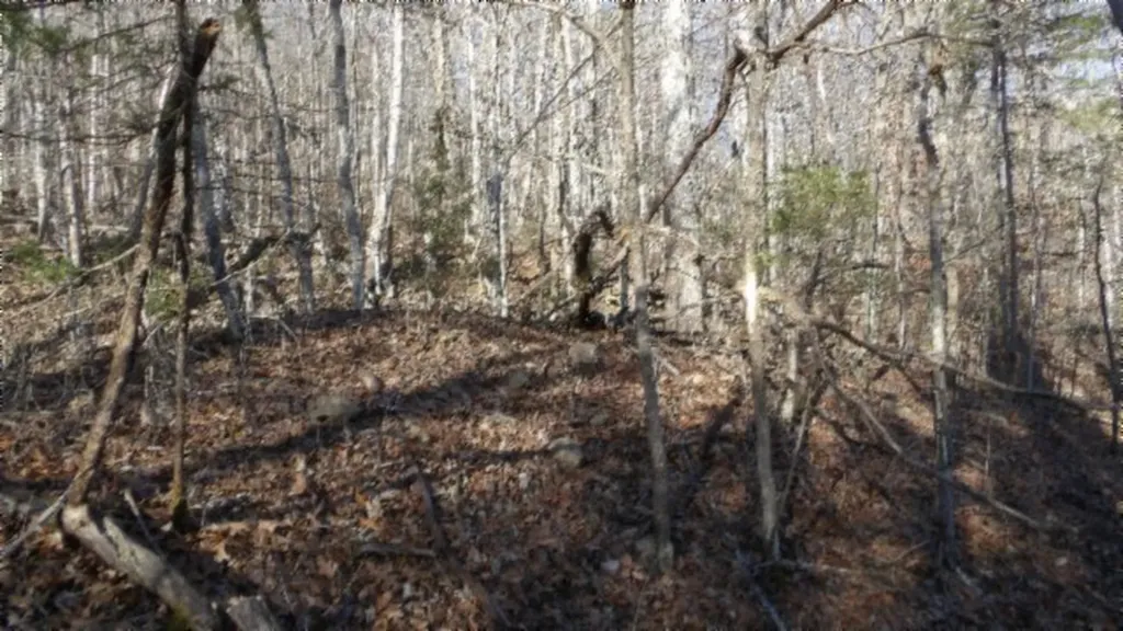 Lot 46 Cheyenne Drive Jamestown TN 38556
