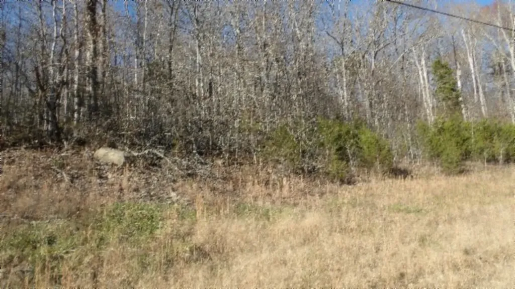 Lot 46 Cheyenne Drive Jamestown TN 38556