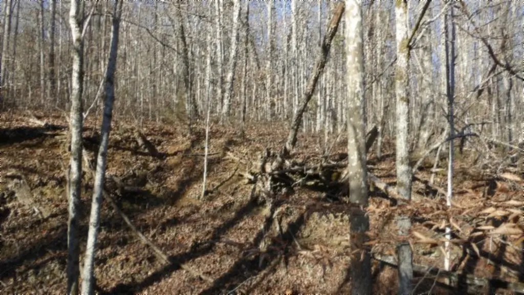 Lot 46 Cheyenne Drive Jamestown TN 38556