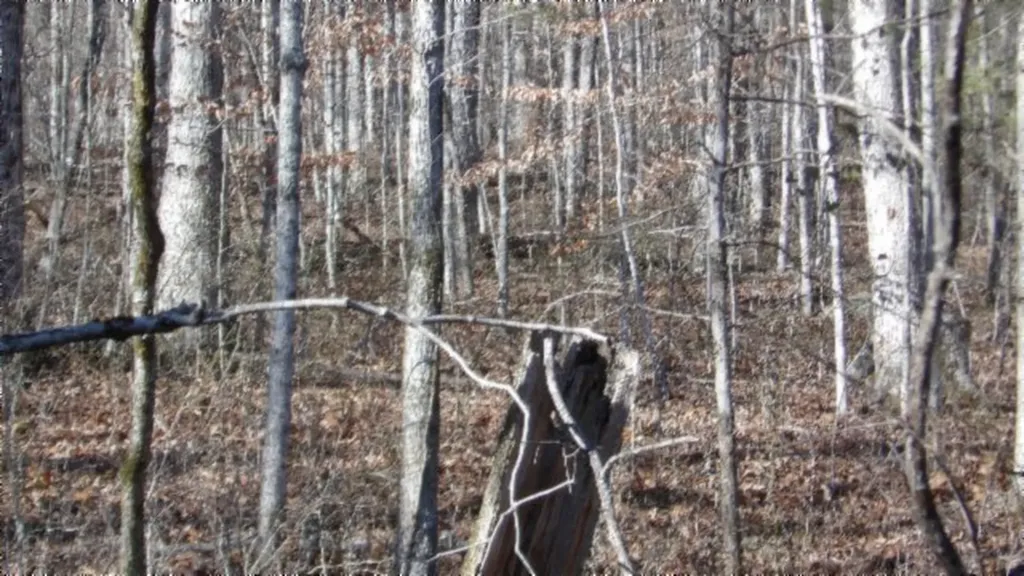 Lot 46 Cheyenne Drive Jamestown TN 38556