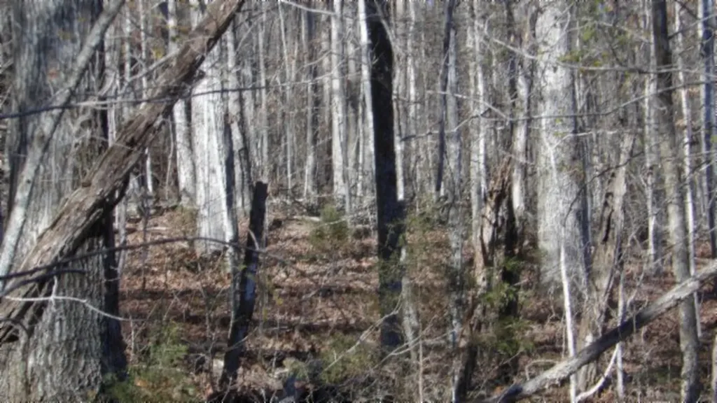 Lot 46 Cheyenne Drive Jamestown TN 38556