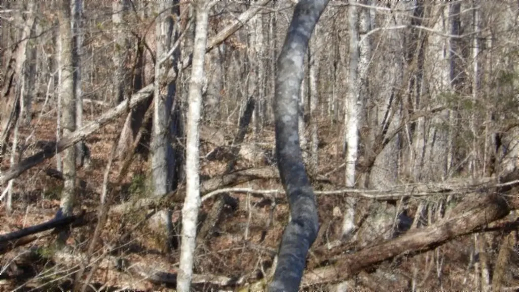 Lot 46 Cheyenne Drive Jamestown TN 38556