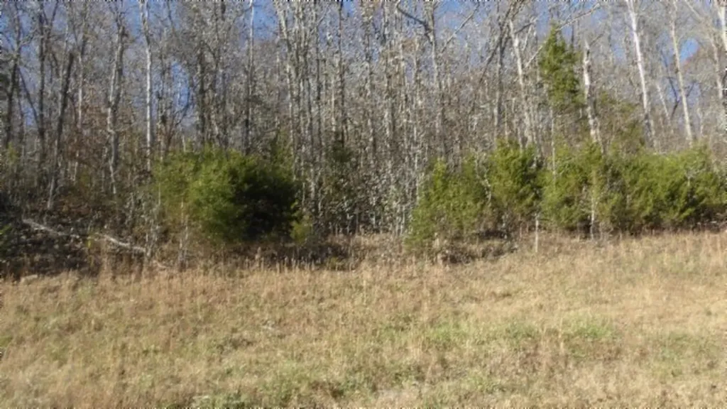 Lot 46 Cheyenne Drive Jamestown TN 38556