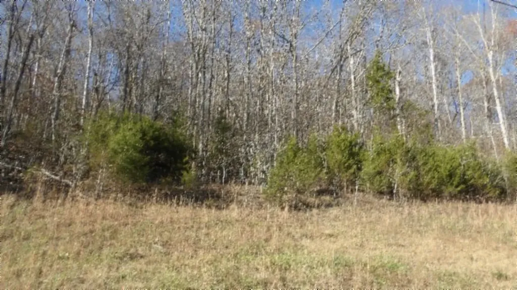 Lot 46 Cheyenne Drive Jamestown TN 38556