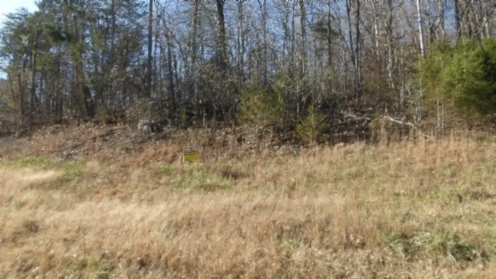 Lot 46 Cheyenne Drive Jamestown TN 38556