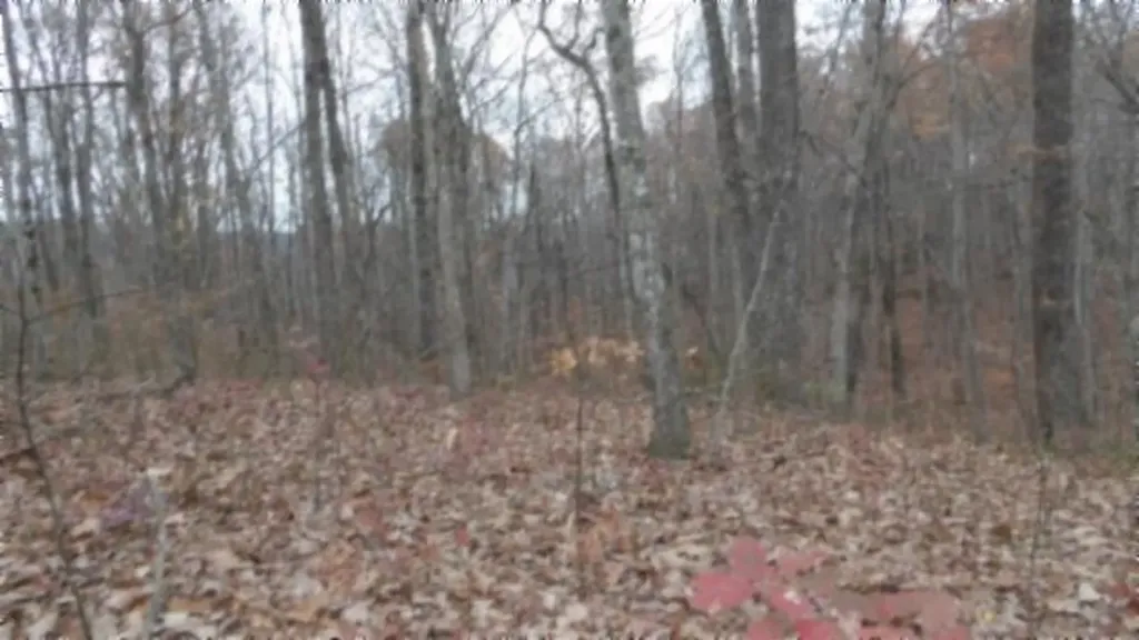 Lot 23 Cumberland Cove Road Monterey TN 38574