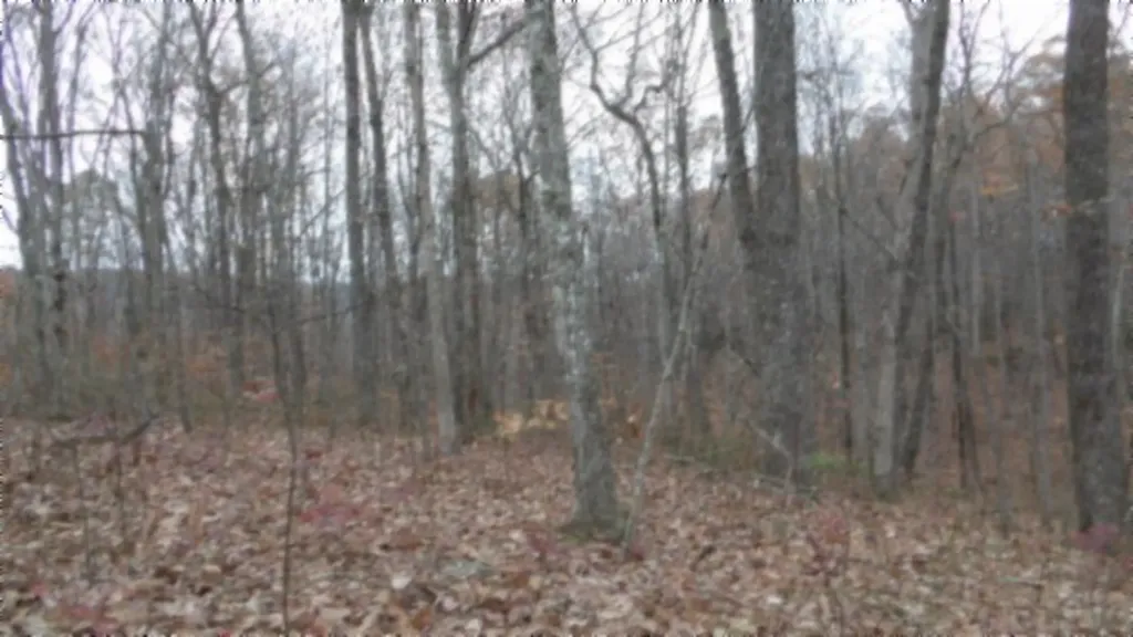 Lot 23 Cumberland Cove Road Monterey TN 38574