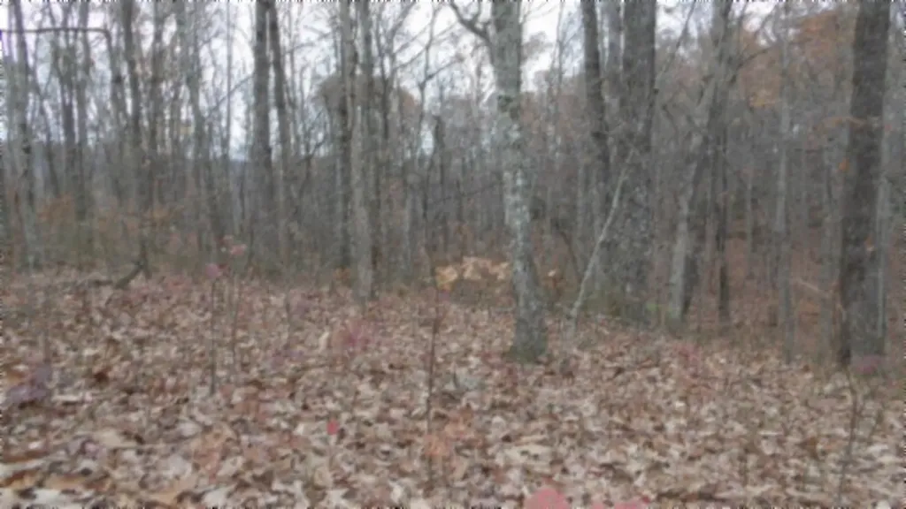 Lot 23 Cumberland Cove Road Monterey TN 38574