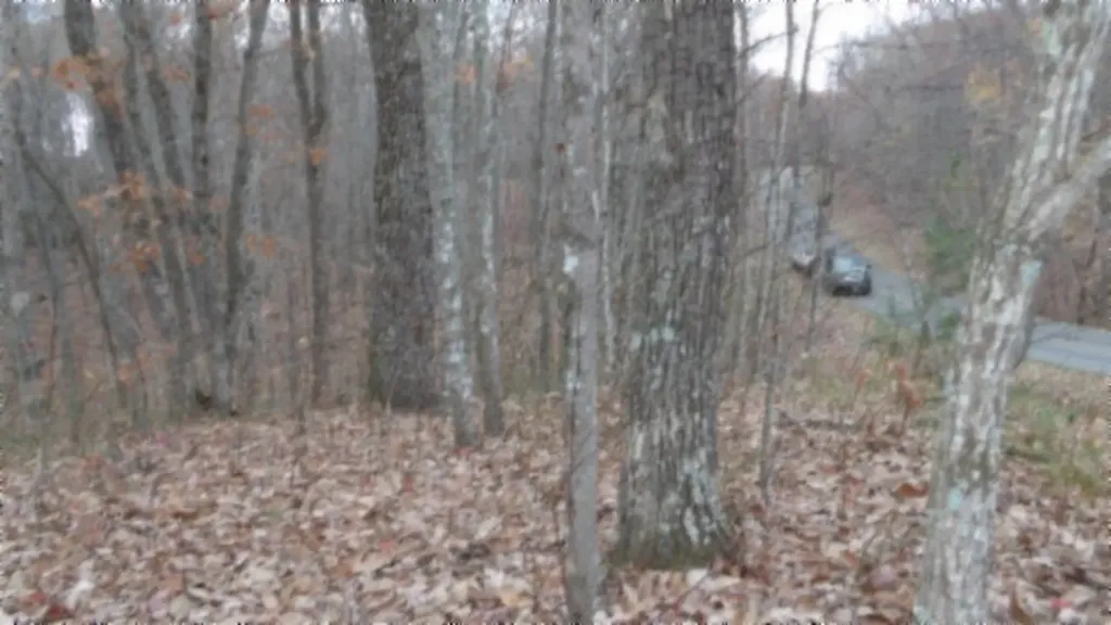 Lot 23 Cumberland Cove Road Monterey TN 38574