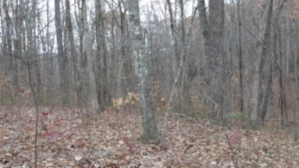 Lot 23 Cumberland Cove Road Monterey TN 38574