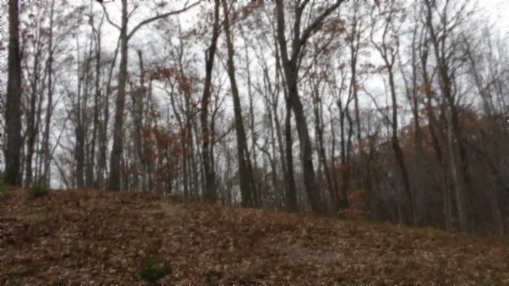Lot 23 Cumberland Cove Road Monterey TN 38574