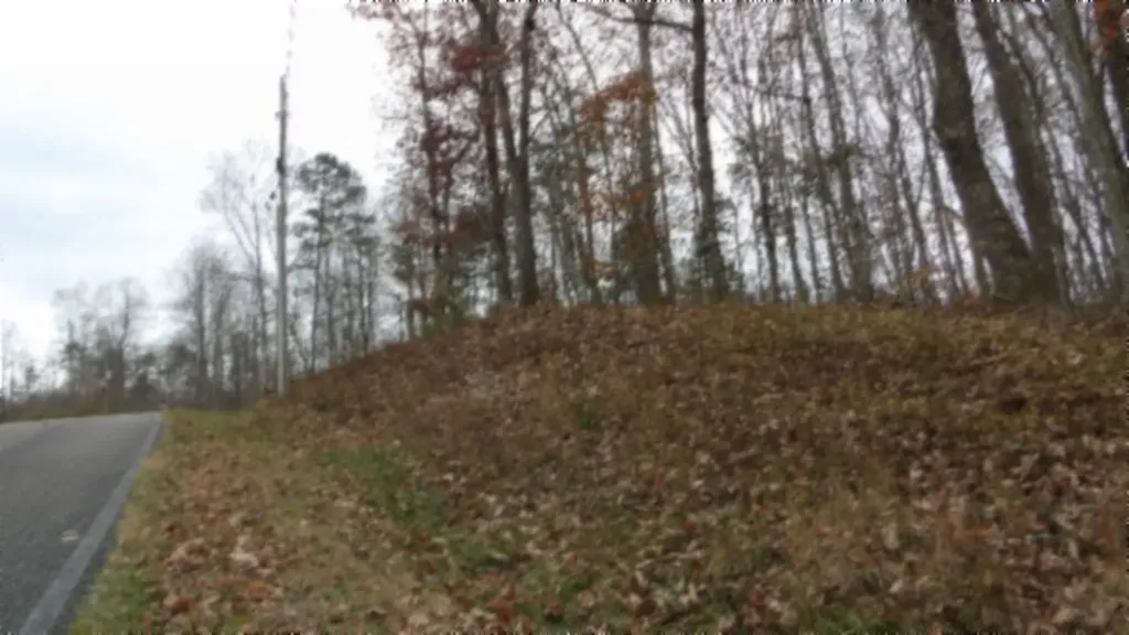 Lot 23 Cumberland Cove Road Monterey TN 38574