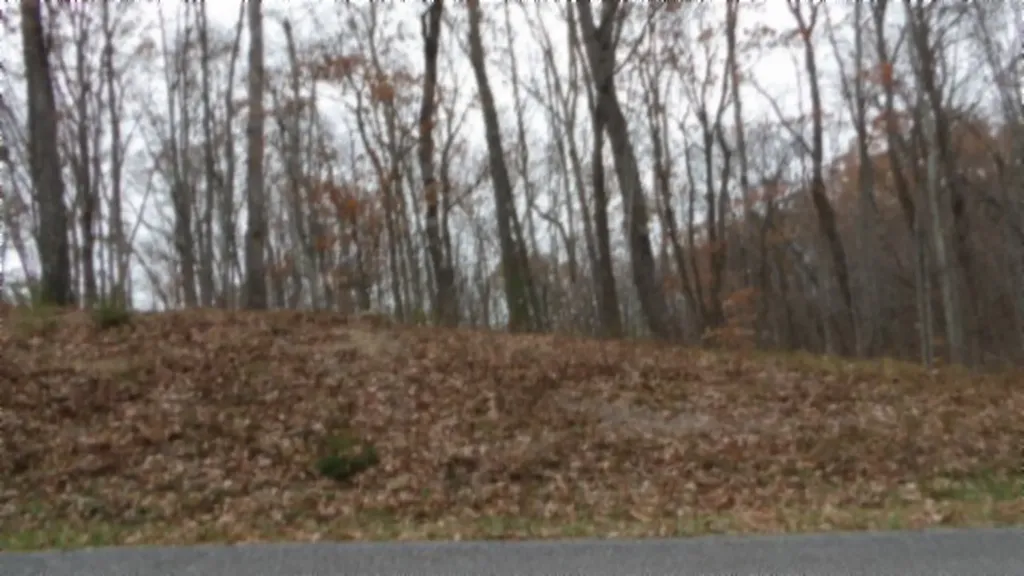 Lot 23 Cumberland Cove Road Monterey TN 38574
