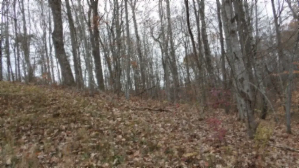 Lot 23 Cumberland Cove Road Monterey TN 38574