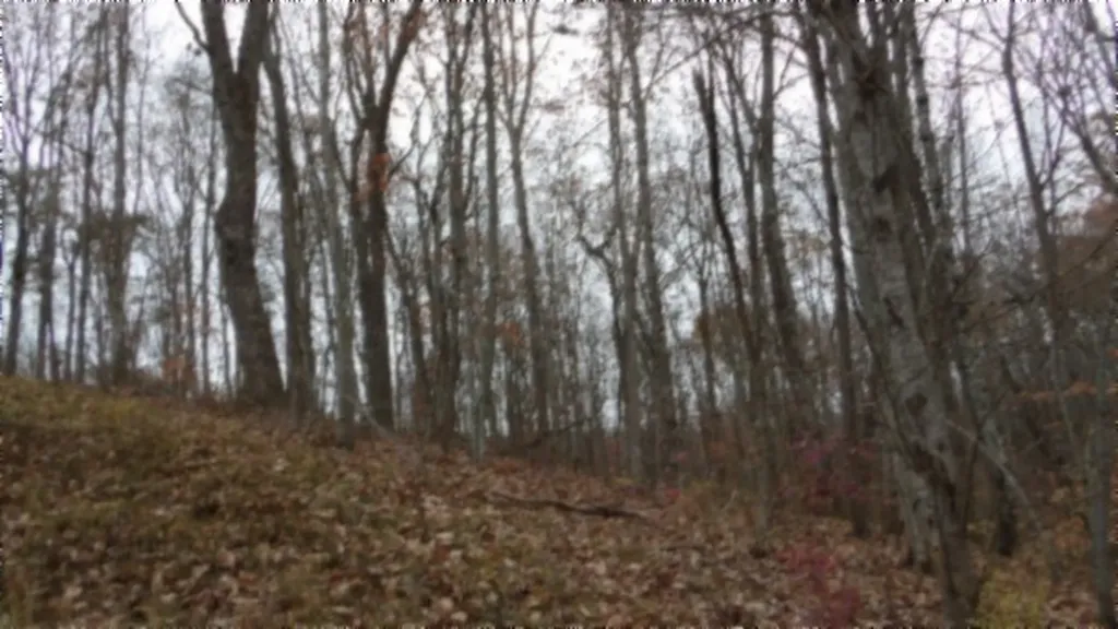 Lot 23 Cumberland Cove Road Monterey TN 38574