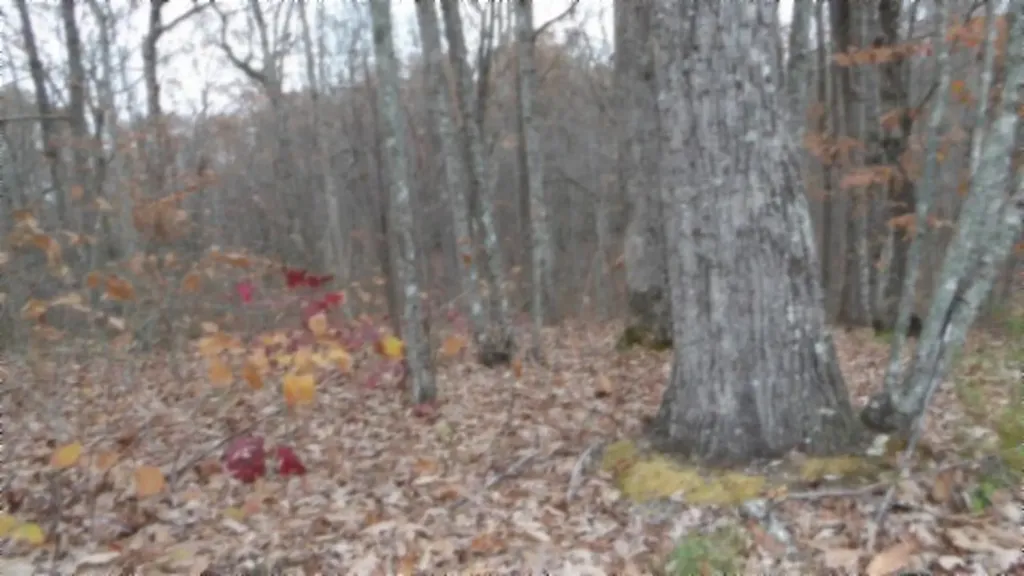 Lot 23 Cumberland Cove Road Monterey TN 38574