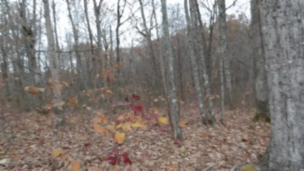 Lot 23 Cumberland Cove Road Monterey TN 38574