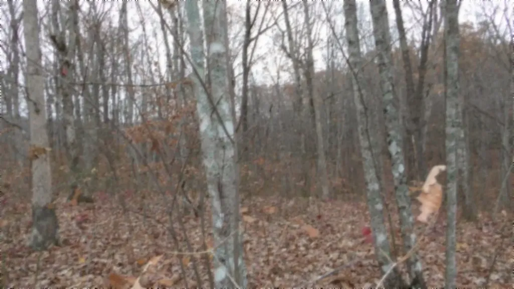 Lot 23 Cumberland Cove Road Monterey TN 38574