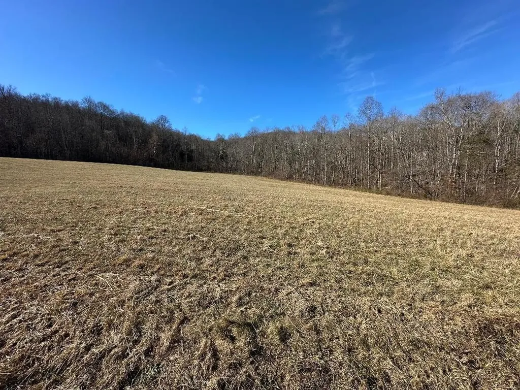 0 Whites Cave Road Sparta TN 38583