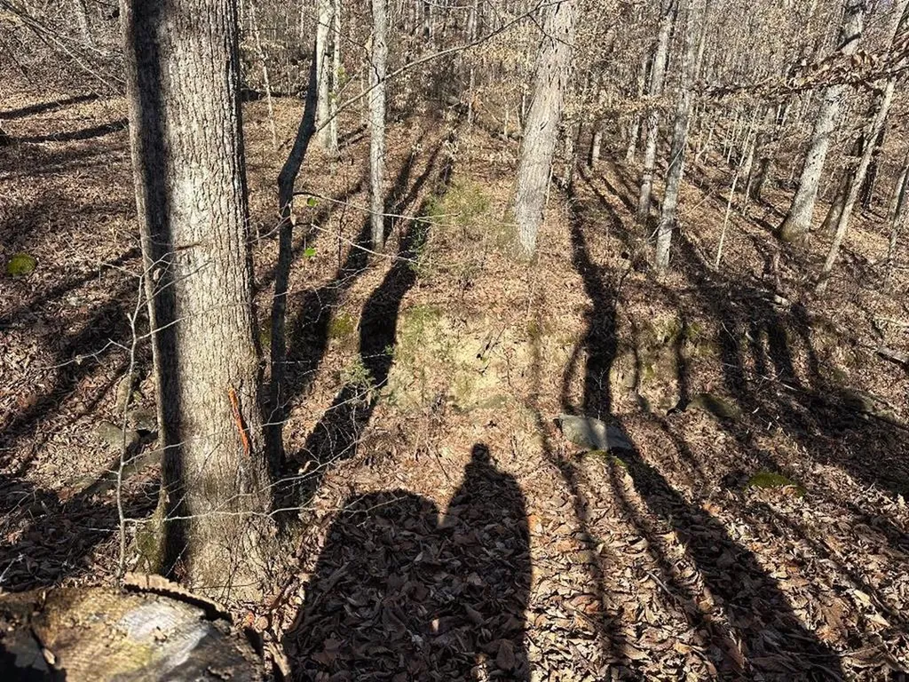 0 Whites Cave Road Sparta TN 38583